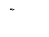 Loon Saloon